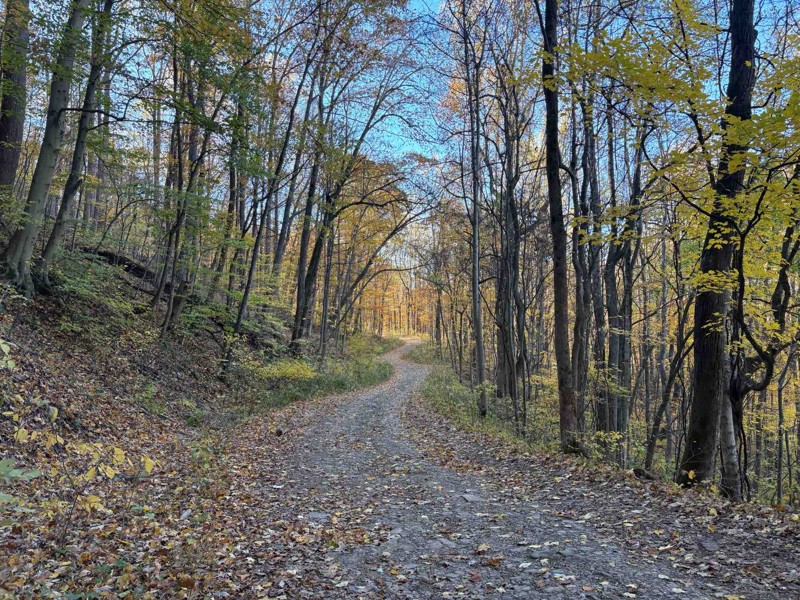 McKendree Road Trail Review Photo