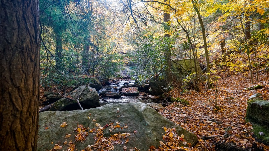 Red Run Road Trail Review Photo