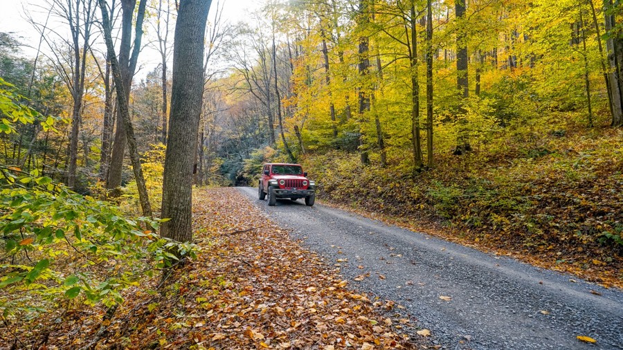 Red Run Road Trail Review Photo