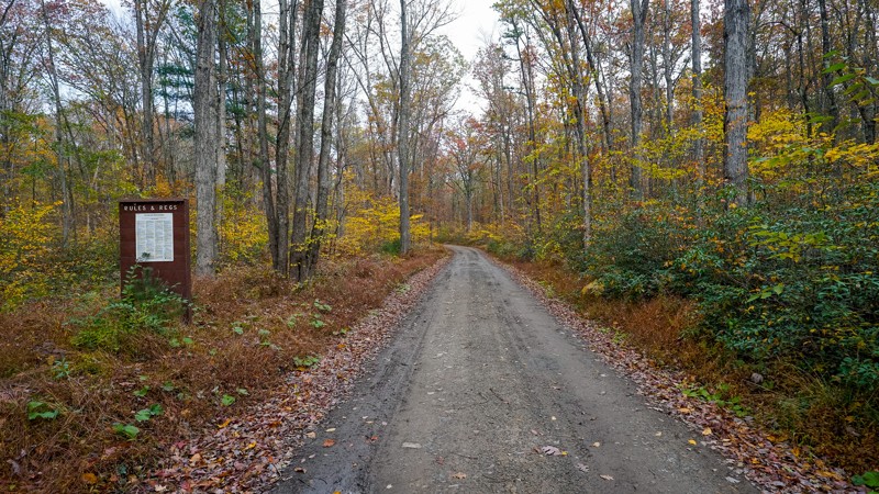 Pennsylvania: Sand Rock Road Hero Photo