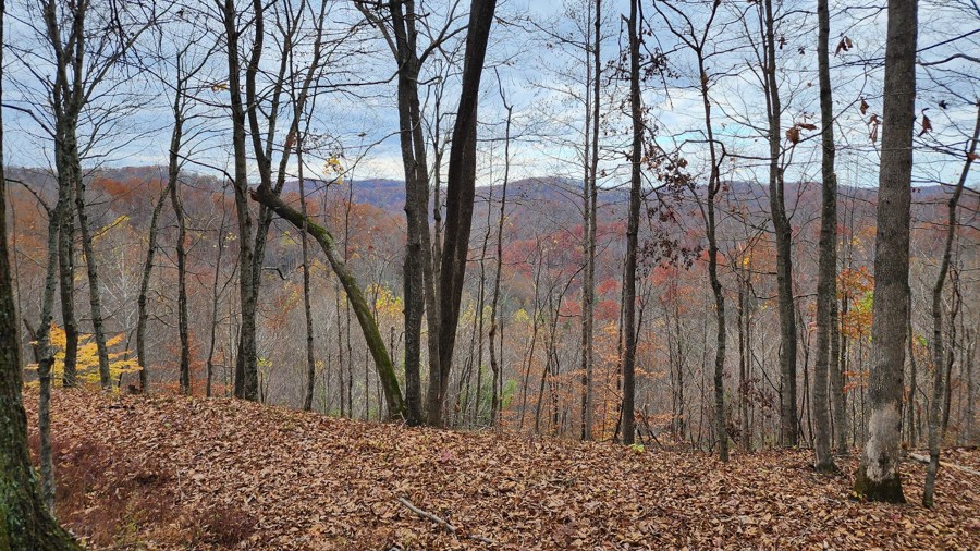 Cabwaylingo 13 Trail Review Photo