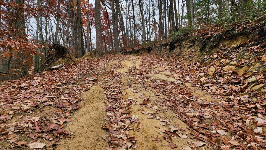 Cabwaylingo 13 Trail Review Photo