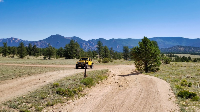 Colorado: Old Forest Service 231 Hero Photo