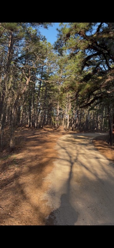 Penn Swamp Trail Review Photo