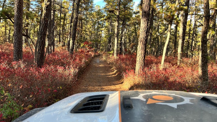 Mount Sandy Ridge Trail Review Photo