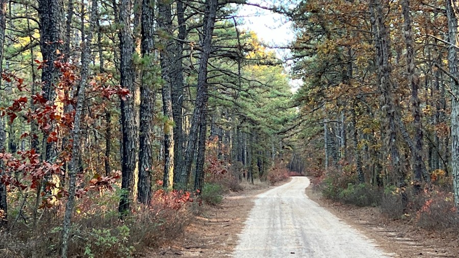 Tuckerton Road Trail Review Photo