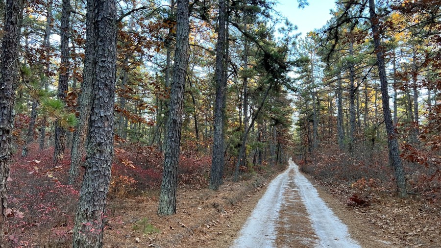 Tuckerton Road Trail Review Photo