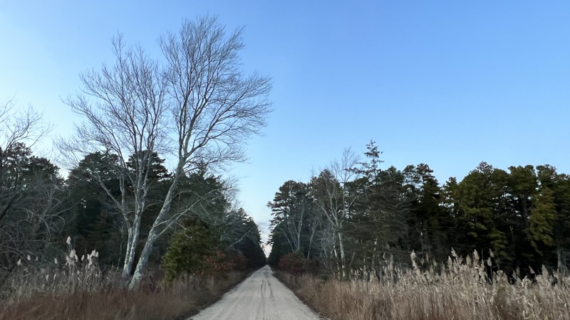 New Jersey: Carranza Road Hero Photo