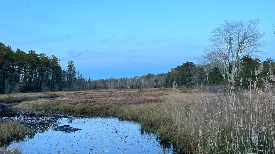 Carranza Road Trail Review Photo