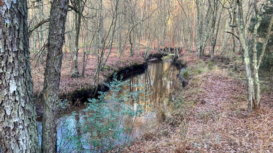 Hampton Road Trail Review Photo