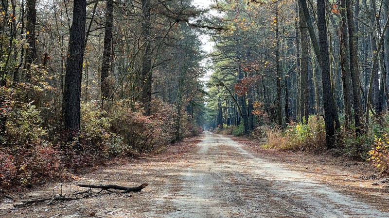 New Jersey: Stokes Road Hero Photo