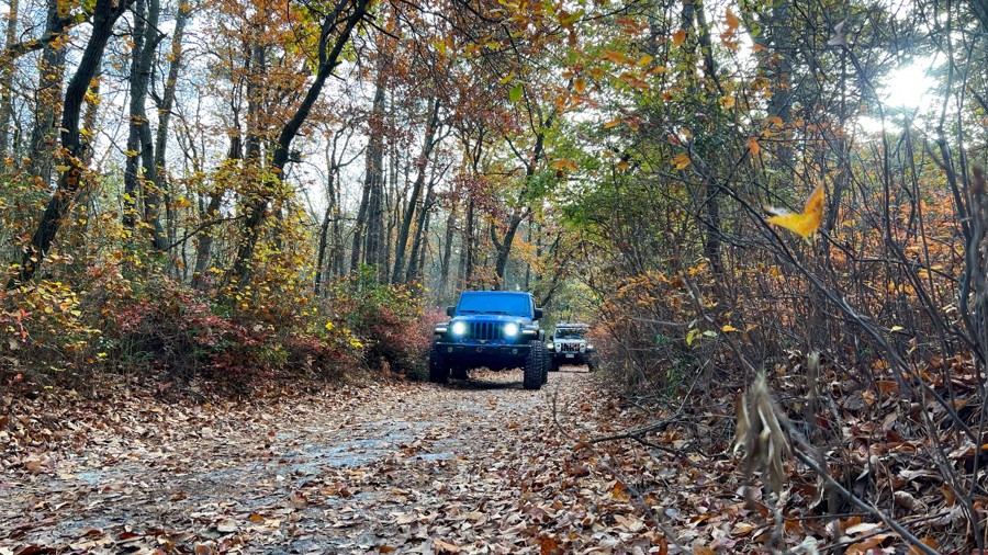 Stokes Road Trail Review Photo
