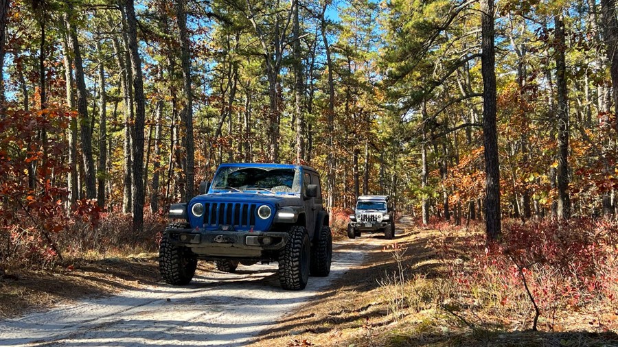 Bulldozed Road Trail Review Photo