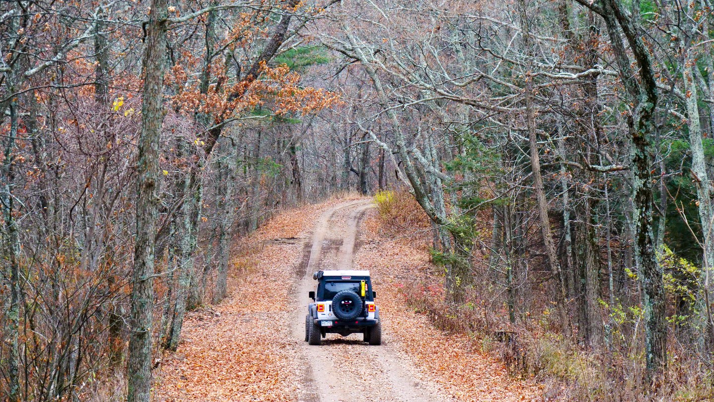 Reddish Knob Virginia Offroad Trail