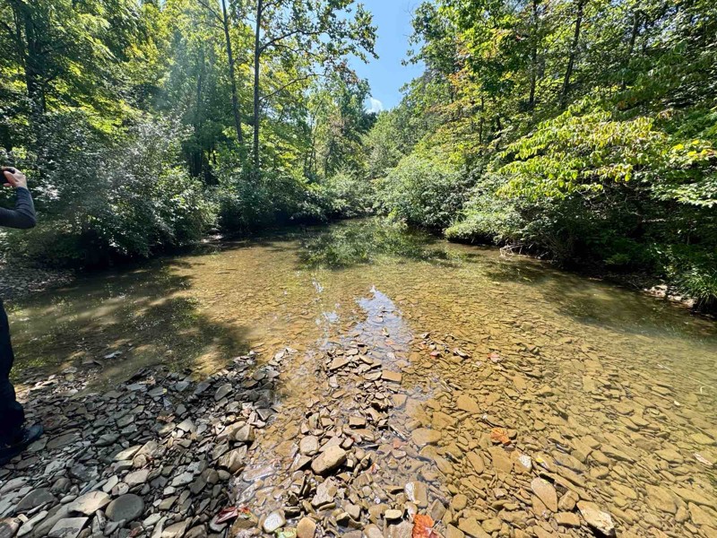 Broad Run Trail Review Photo