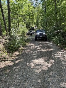 Broad Run Trail Review Photo