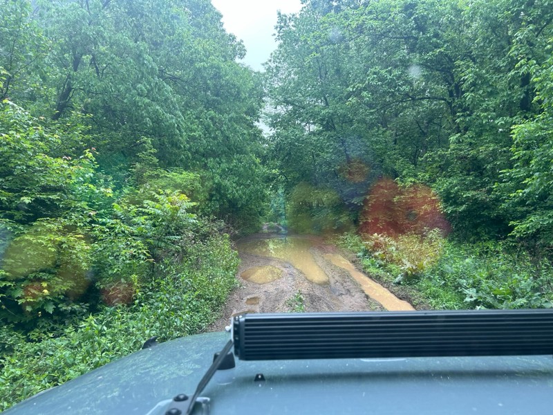 Potts Mountain Road Trail Review Photo