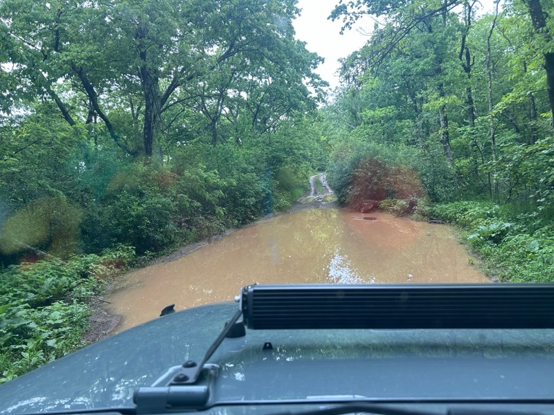 Potts Mountain Road Trail Review Photo