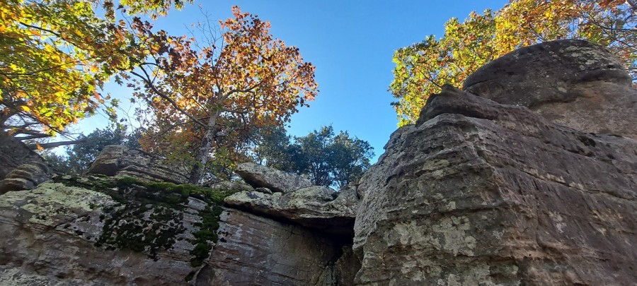 Mountain Ridge Road Trail Review Photo