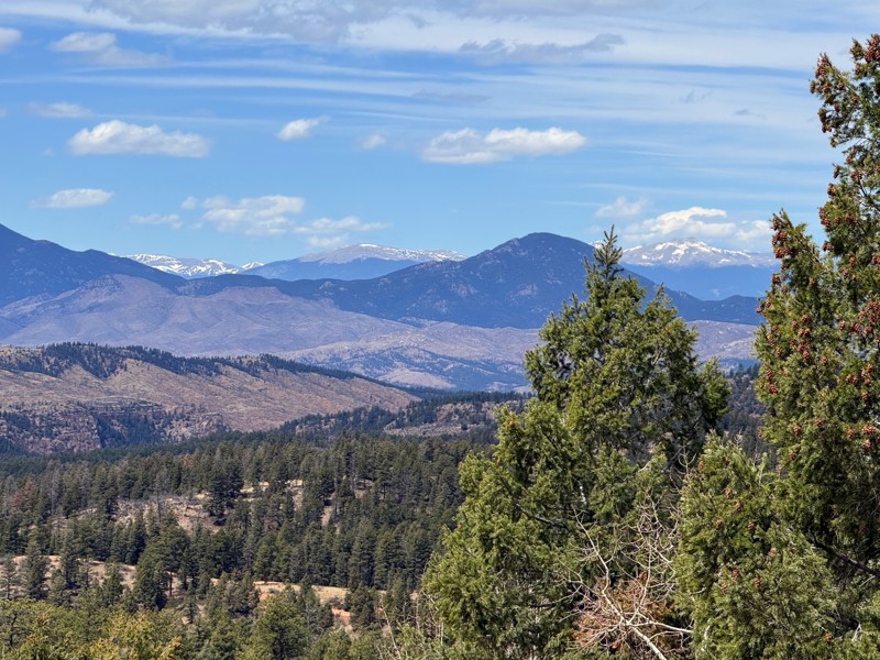 Overlook Road Trail Review Photo