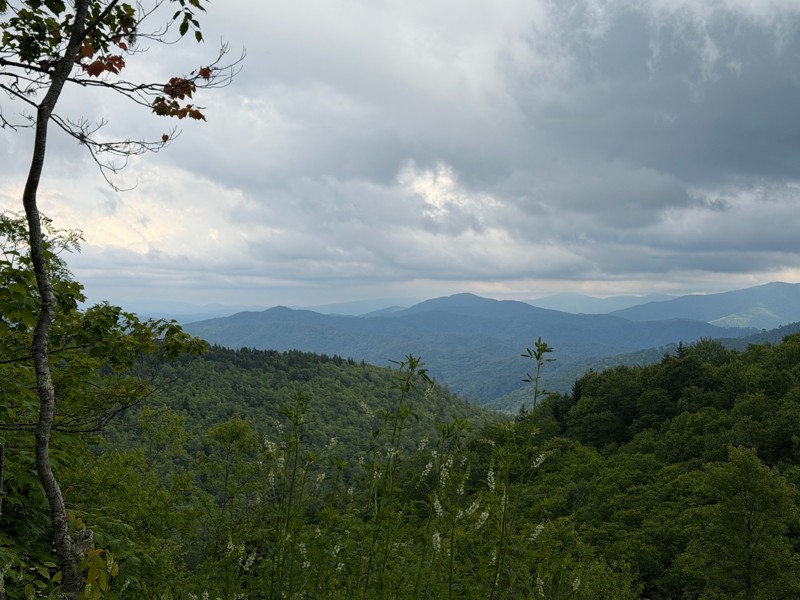 Unaka Mountain Road Trail Review Photo
