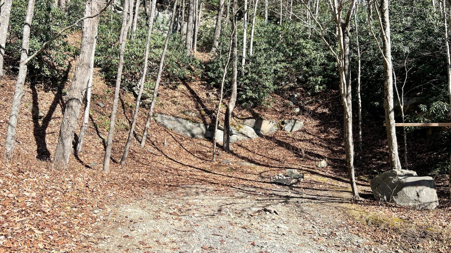 Edgemont Road (North) Trail Review Photo