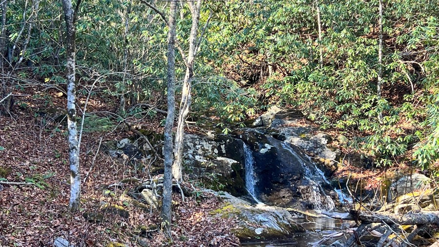 Edgemont Road (North) Trail Review Photo