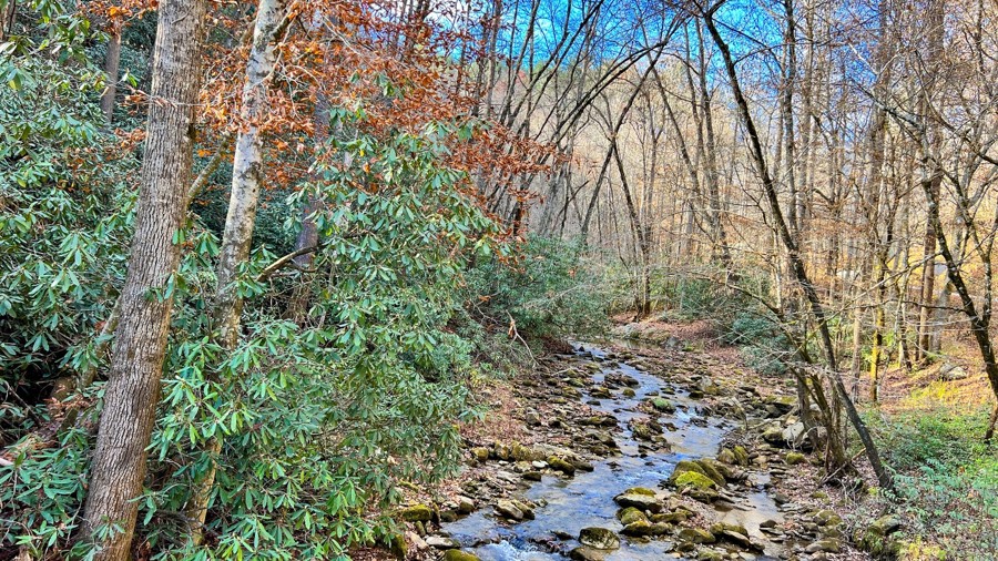 Anthony Creek Trail Review Photo