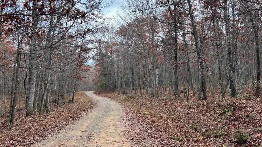 Wildlife Trail Review Photo