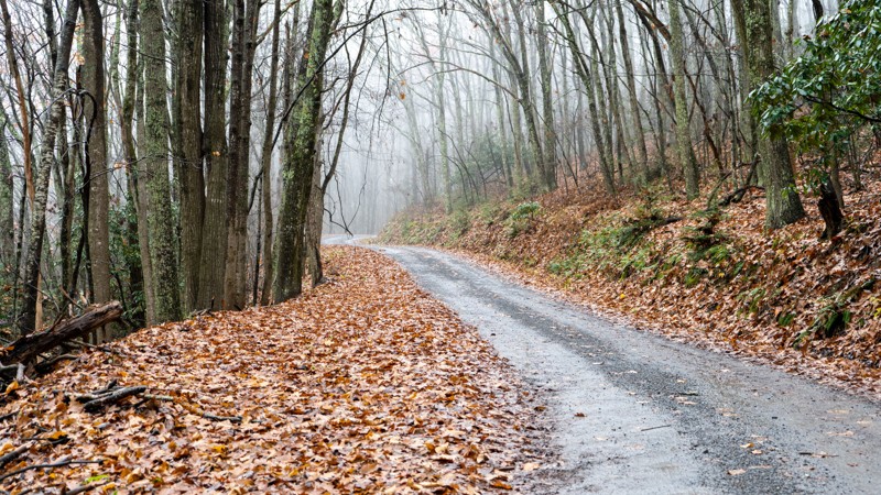 Virginia: Limestone Hill and Rocky Gap Hero Photo