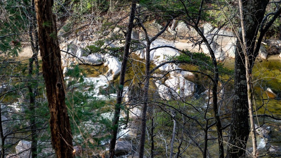 Brown Mountain Beach Road Trail Review Photo