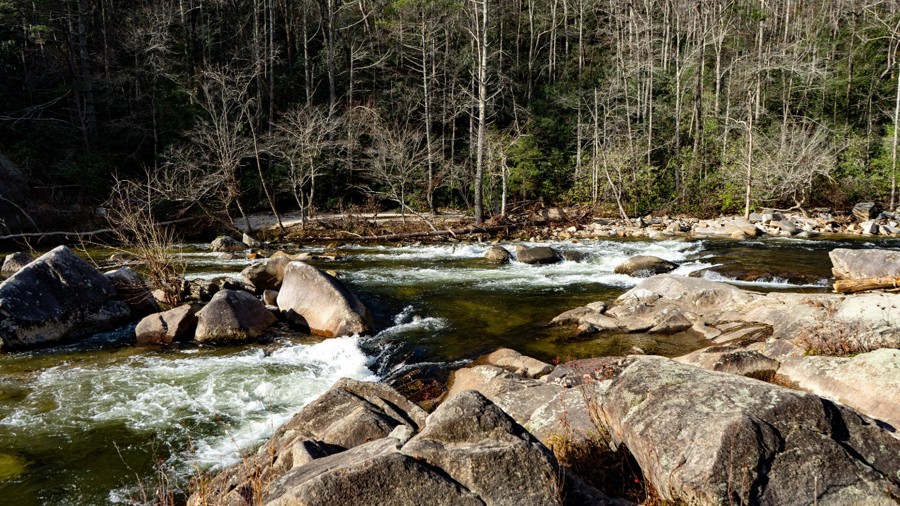 Brown Mountain Beach Road Trail Review Photo