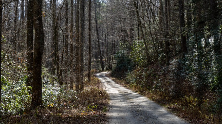 Maple Sally Road Trail Review Photo