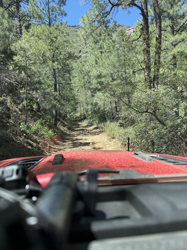 Allen Spring - Mingus Mountain Trail Review Photo