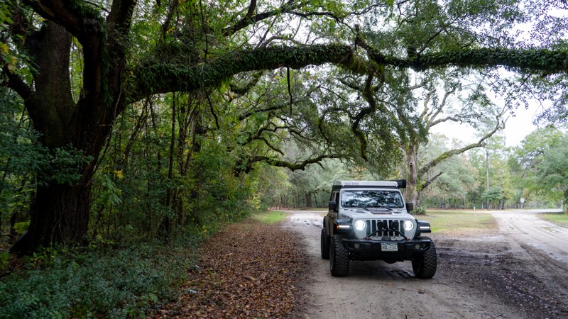 South Carolina: Old Georgetown Road Hero Photo