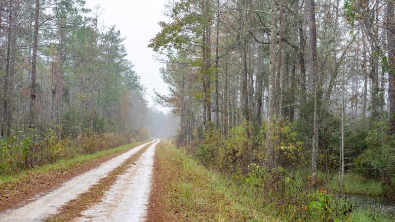 South Carolina: Mill Branch Hero Photo