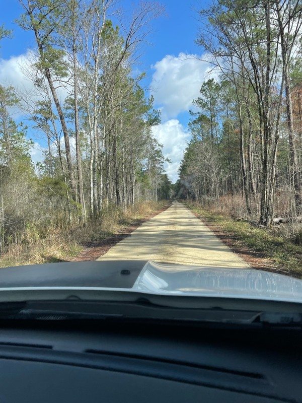 Mill Branch Trail Review Photo