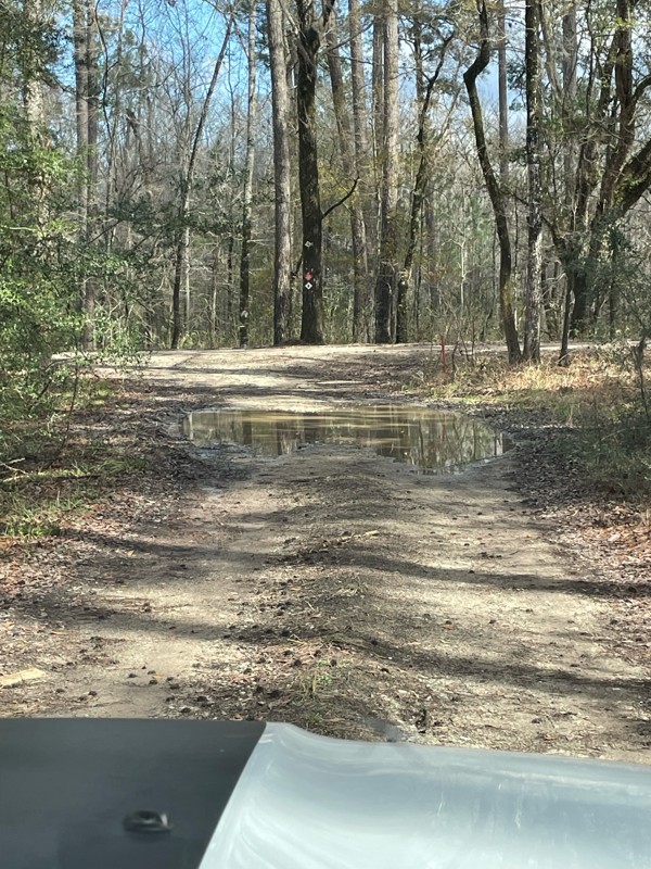 Mill Branch Trail Review Photo