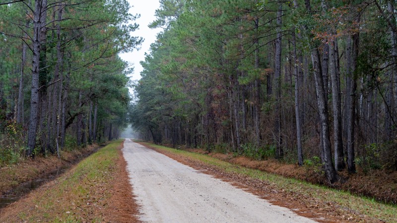 South Carolina: Palmer Bridge Road Hero Photo
