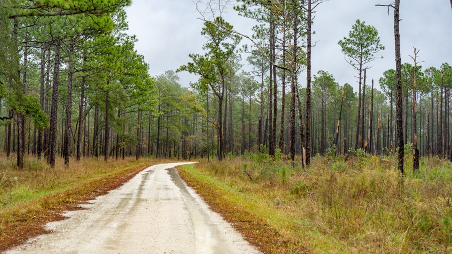 Echaw Trail Review Photo