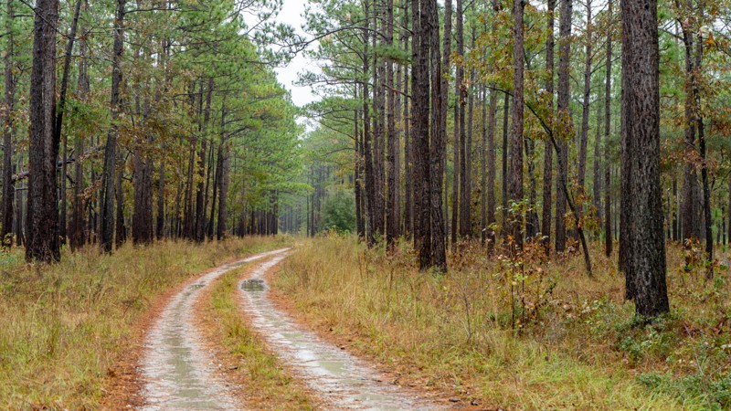South Carolina: Echaw B Hero Photo