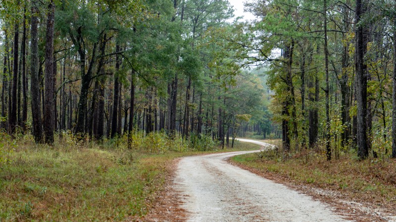 South Carolina: McConnell Landing Hero Photo