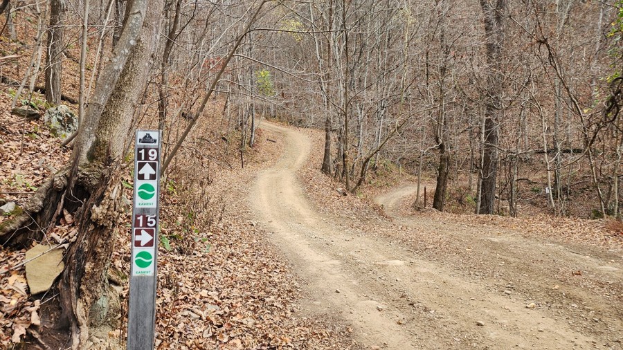 Bearwallow 15 Trail Review Photo
