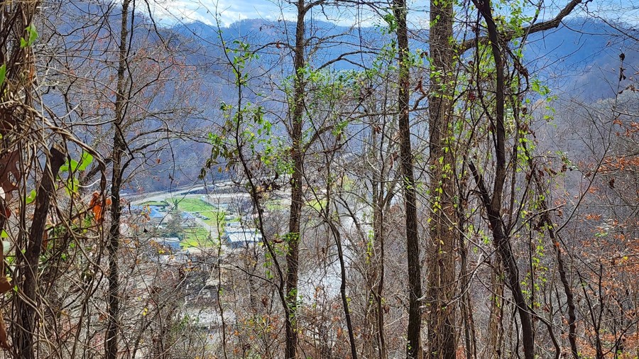 Bearwallow 15 Trail Review Photo