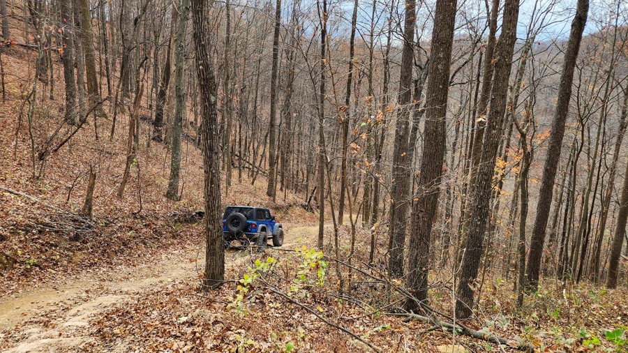 Bearwallow 70 Trail Review Photo