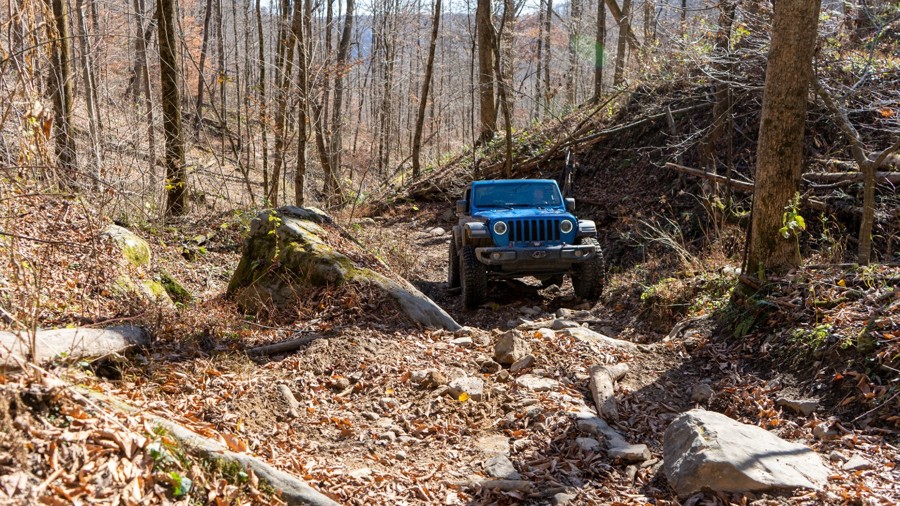 Bearwallow 73: Purgatory Trail Review Photo