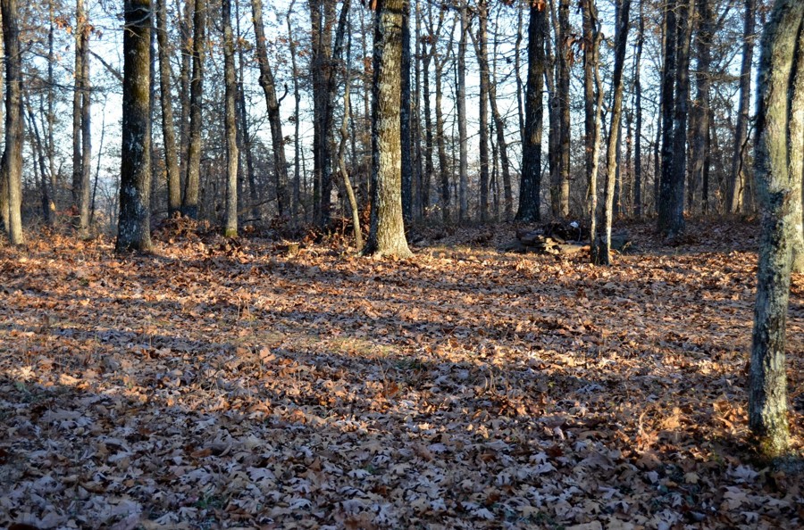 Forest Road 1652 Trail Review Photo