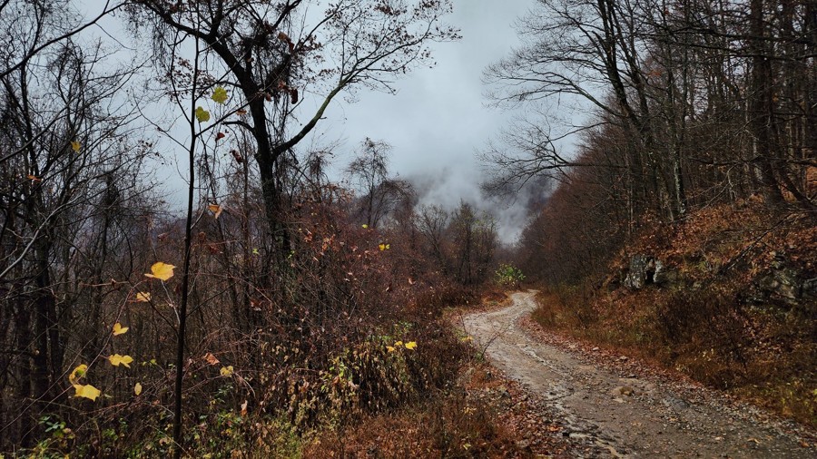 Windrock G39 Trail Review Photo