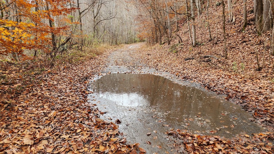 Ivy Branch 15 Trail Review Photo