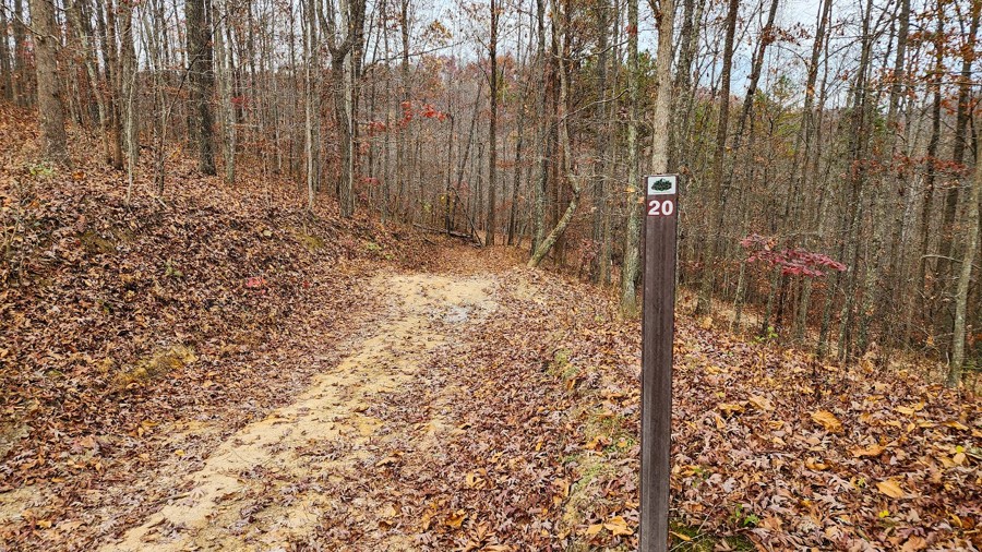 Ivy Branch 20 Trail Review Photo